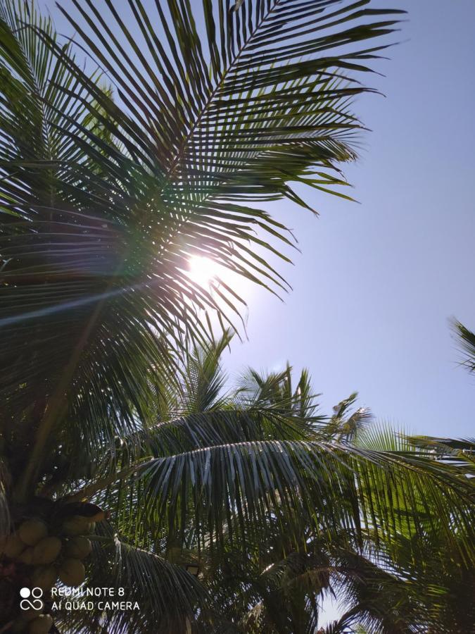 Dolce Mare * Cacha Pregos