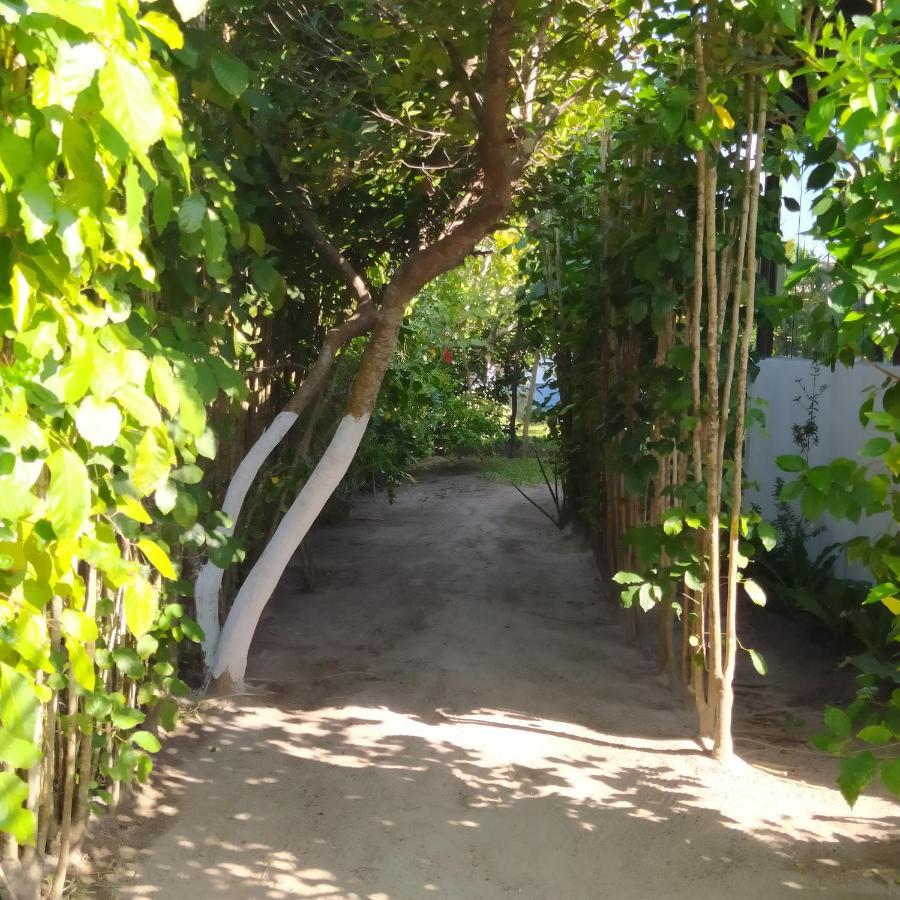 Dolce Mare * Cacha Pregos