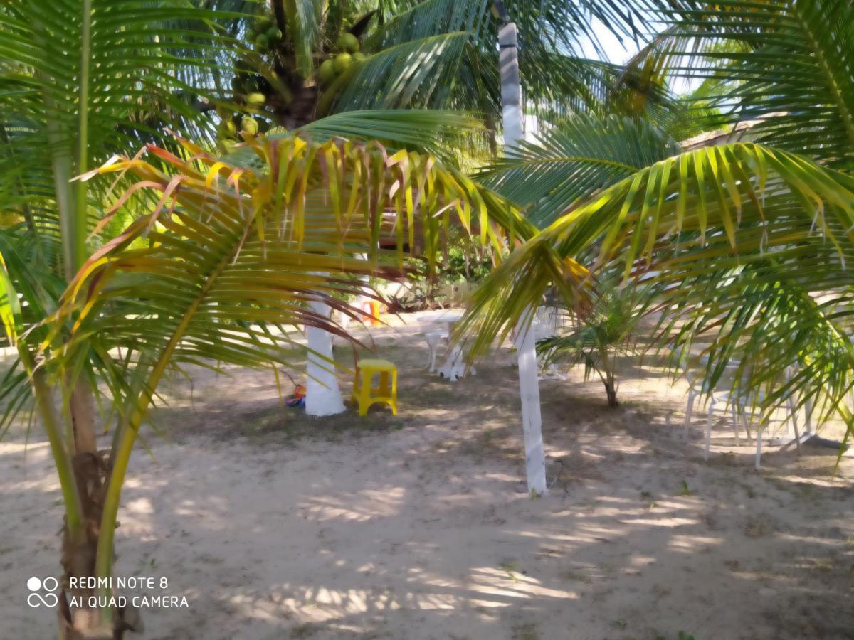 Dolce Mare Cacha Pregos